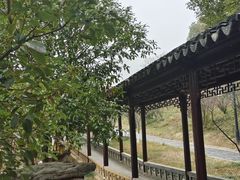 -八大山人梅湖景区