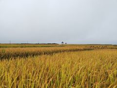 -贵州云顶草原民族风情园