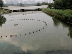 -太原市博物馆