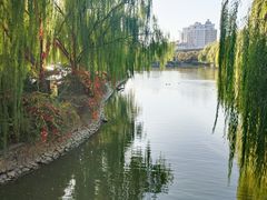 -南翠屏公园