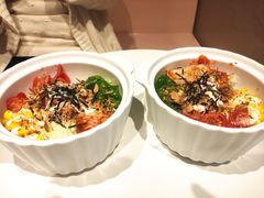 -猫儿山۰猫主题餐厅