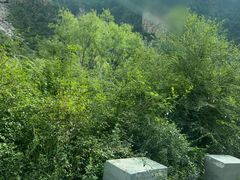 -太行锡崖沟旅游度假区