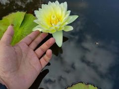 -合肥滨湖国家森林公园