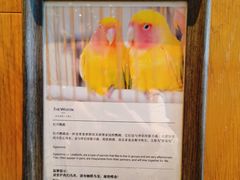 -西安威斯汀大酒店
