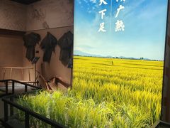 -岳阳市博物馆