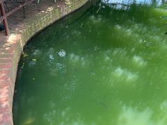 -侯臣咖啡文化村