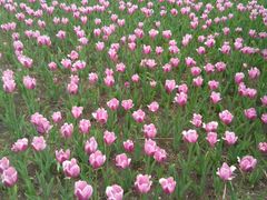 -长春公园(普阳街道)