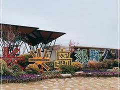 -上海长兴岛郊野公园