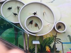 -陕西自然博物馆