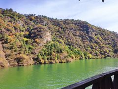 -北京龙庆四季香农家饭庄·灶台鱼·碳烤虹鳟鱼(龙庆峡店)