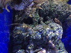 -圣淘沙名胜世界