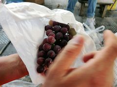 -美家乐农庄·露营·团建(大治路店)