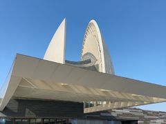 -野狸岛