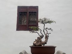 -个园