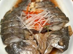-伊尹活海参馆(衡山路店)
