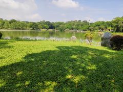 -东莞植物园