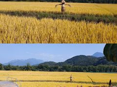 -中国科学院华南植物园