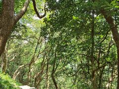 -严子陵钓台(富春江小三峡)