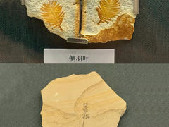-大连自然博物馆