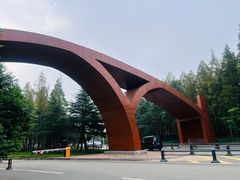 -日照海滨国家森林公园