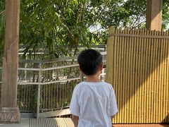 -新加坡飞禽公园