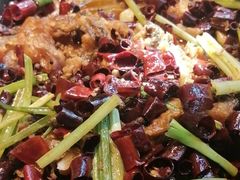 -老板恋上鱼(恒隆广场店)