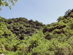 -抱龙峪