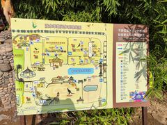 -呀路古热带植物园