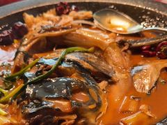 -秀儿四九城·新京菜(亚运村鸟巢店)