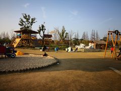 -上海长兴岛郊野公园