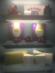 -静博士养生美容连锁