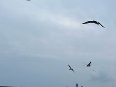 -星海广场