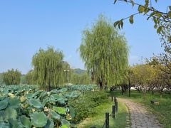 -石湖景区