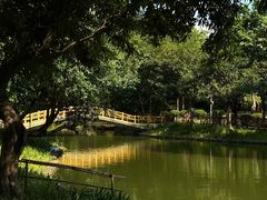 -晓港公园