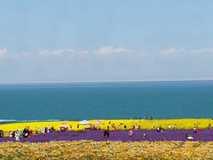 -青海湖国家重点风景名胜区