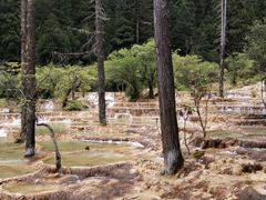 -鸡毛店·川菜(双楠店)