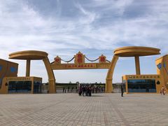-金塔沙漠胡杨林景区