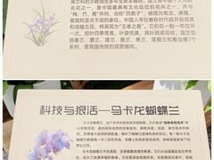 -上海鲜花港