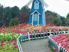 -铁山坪森林公园