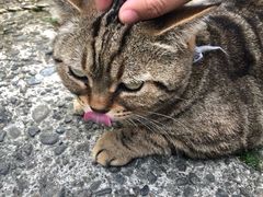 -灌篮高手动画打卡地