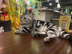 -咖法森林·咖啡  酒吧(天河店)