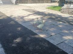 -苏州碑刻博物馆