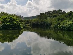 -大屏嶂森林公园