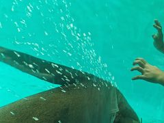 -厦门海底世界