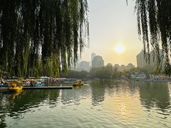-团结湖公园