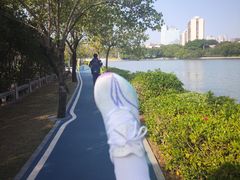 -白鹭洲公园