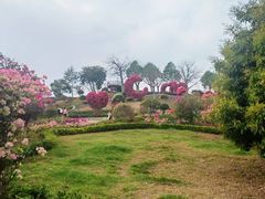 -东莞植物园