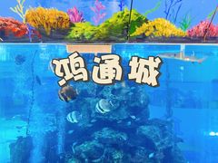 -鸿通城购物中心