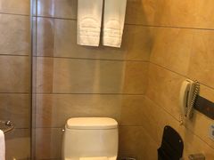 -长沙小天鹅戴斯酒店