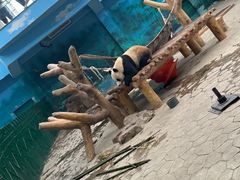 -沈阳森林动物园